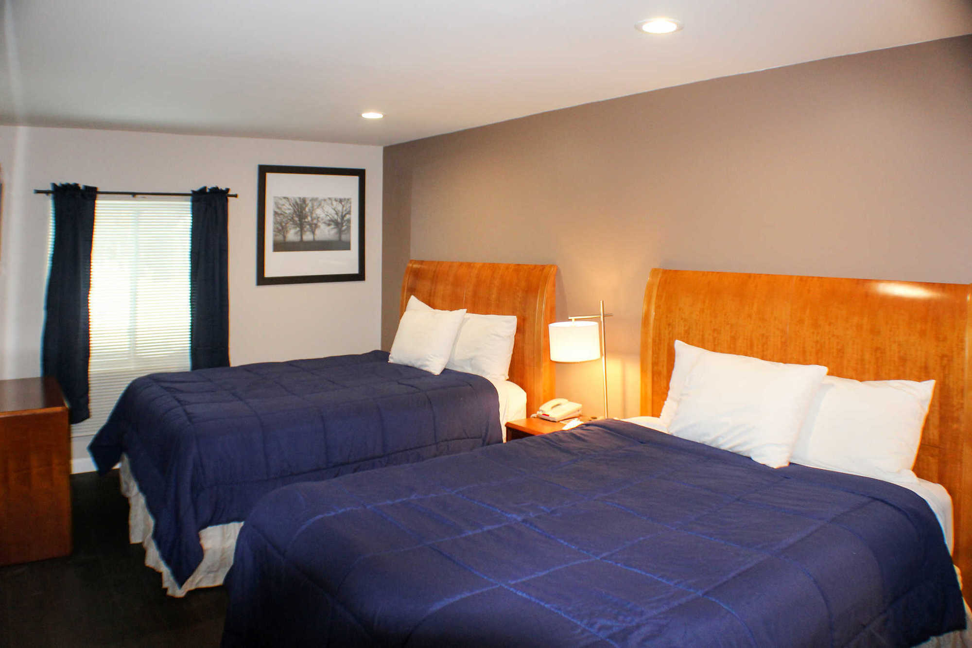 Quality Inn & Suites リンカーン 部屋 写真